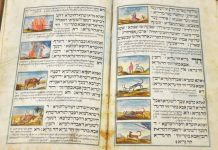 PeSSaH 5782: « Tu raconteras à tes enfants » (vidéo)